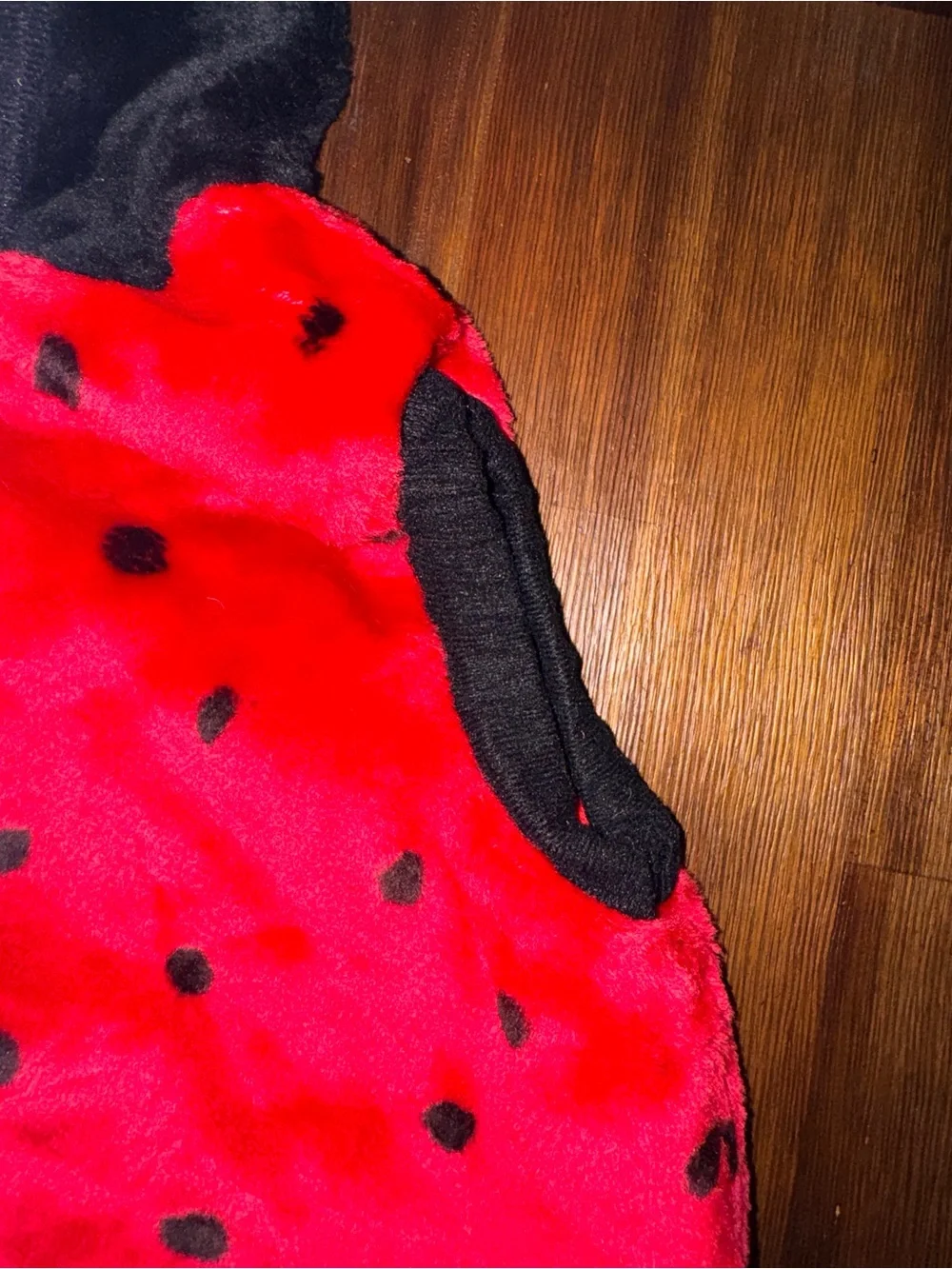 Toddler 24 Months Plush Ladybug Halloween Costume With Hood & Antennas